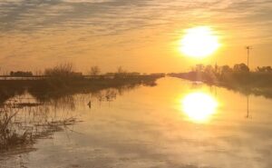 Inundaciones ponen en riesgo 35 familias productoras de queso