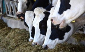 La Junta destaca al sector lácteo como motor rural