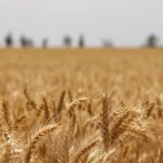 La agroindustria crece menos y exige cambios