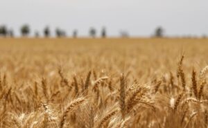 La agroindustria crece menos y exige cambios