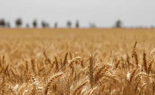 La agroindustria crece menos y exige cambios