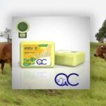 La sostenibilidad del Pacto Caquetá brilla en Andina Pack 1