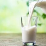 ¿Lácteos enteros: mito o beneficio? 2 Lácteos enteros mito o