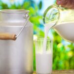 Leche A2: la nueva favorita por sus beneficios digestivos 1 Leche A2 la nueva favorita por sus beneficios digestivos