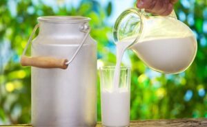 Leche A2 la nueva favorita por sus beneficios digestivos