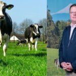 Oportunidades y desafíos para la lechería en campaña