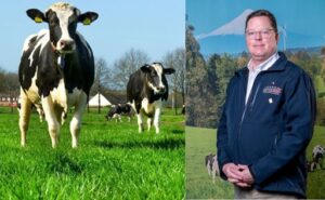 Oportunidades y desafíos para la lechería en campaña