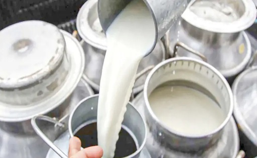 Precio récord del litro de leche impulsa a ganaderos en Córdoba y Sucre