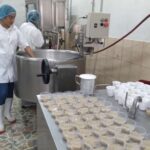 Producción láctea de Nicaragua supera los 12 millones de litros