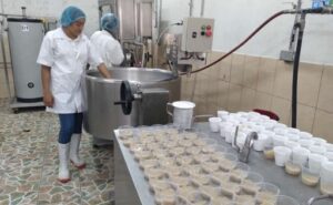 Producción láctea de Nicaragua supera los 12 millones de litros