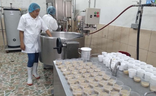 Producción láctea de Nicaragua supera los 12 millones de litros