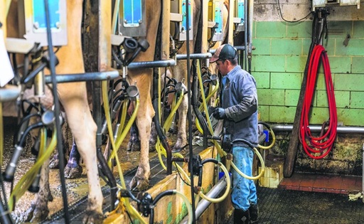 Productores acusan al Fondo Proleche de frenar el crecimiento