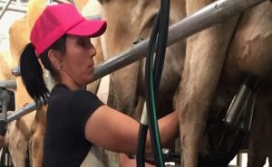 Productores uruguayos reclaman que fondos lácteos vayan al INALE