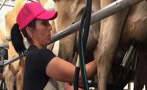 Productores uruguayos reclaman que fondos lácteos vayan al INALE