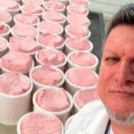 Queso de frutilla el innovador producto argentino nacido en pandemia