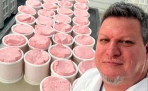 Queso de frutilla el innovador producto argentino nacido en pandemia