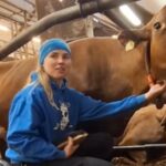 Revolución lechera en Finlandia: tecnología, ciencia y bienestar animal en acción 2 Revolución lechera en Finlandia tecnología, ciencia y bienestar animal en acción