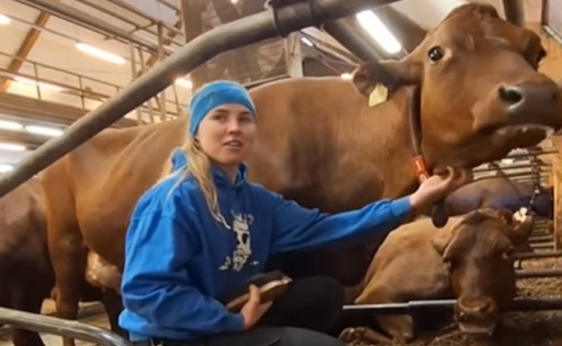 Revolución lechera en Finlandia tecnología, ciencia y bienestar animal en acción
