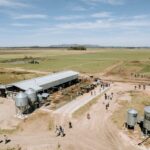 Robots de ordeñe elevan la producción en Tandil 2 Robots de ordeñe elevan la producción en Tandil