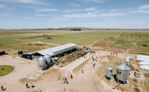 Robots de ordeñe elevan la producción en Tandil