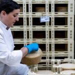 Solo tres quesos españoles han sido los mejores del mundo uno de ellos es un manchego 1 Solo tres quesos españoles han sido los mejores del mundo uno de ellos es un manchego