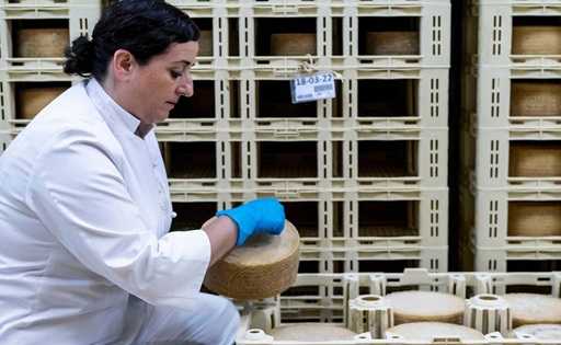 Solo tres quesos españoles han sido los mejores del mundo uno de ellos es un manchego