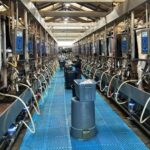 Alpina impulsa su expansión en EE. UU. desde California 1 Alpina impulsa su expansión en EE. UU. desde California