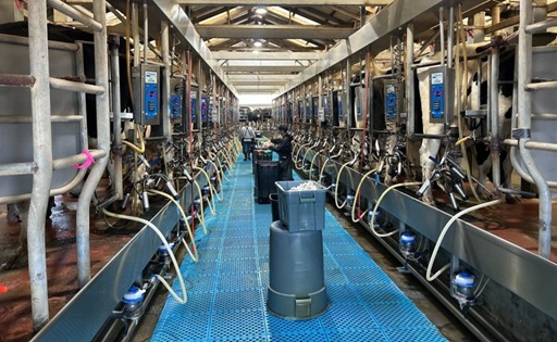 Alpina impulsa su expansión en EE. UU. desde California