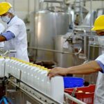 Bajan los precios lácteos en plena temporada de alta producción 2 Bajan los precios lácteos en plena temporada de alta producción