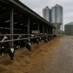 Cómo evolucionará el sector lácteo europeo hacia 2035 2 Cómo evolucionará el sector lácteo europeo hacia 2035