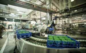 Danone certifica el 100 % de sus operaciones globales