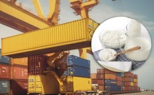 Exportaciones lácteas chilenas crecen 24,9% en 2025