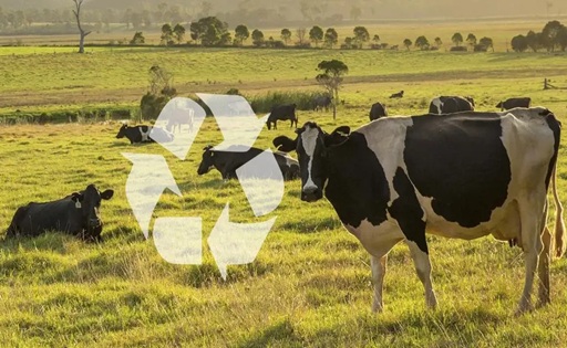 Ganadería el rol oculto que salva al campo