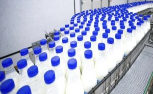 Ganaderos colombianos reconvierten una planta en desuso para producir lácteos con valor agregado