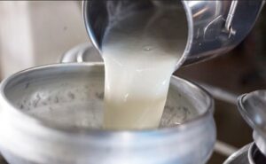 India redefine su lechería con el auge de la leche sin lactosa