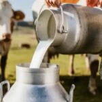 La presión impositiva ahoga al sector y congela el precio de la leche