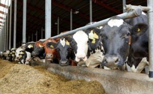 La producción de leche de la UE seguirá cayendo en 2026