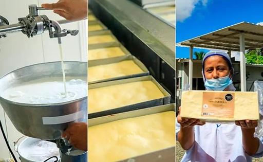 Lácteos K2 impulsa la agroindustria sostenible en el Bajo Cauca