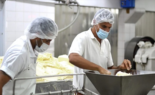 Manteca en caída libre alerta en la lechería europea