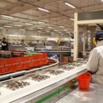 Nestlé crece en España, pero enfrenta ajustes de personal 1 Nestlé crece en España, pero enfrenta ajustes de personal