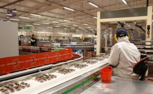 Nestlé crece en España, pero enfrenta ajustes de personal