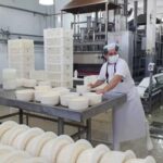 Por qué colapsan empresas lácteas