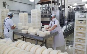 Por qué colapsan empresas lácteas