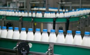 Precio de la leche al productor retrocede 1,5% y preocupa al sect
