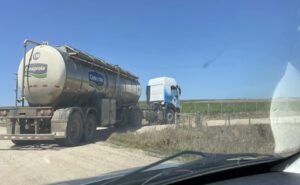 Remisión de leche en Uruguay octubre alcanzó 222 millones de litros