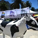 Sindicato lácteo anuncia paro parcial por conflicto en Claldy 2 Sindicato lácteo anuncia paro parcial por conflicto en Claldy