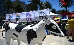 Sindicato lácteo anuncia paro parcial por conflicto en Claldy