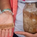 UAQ desarrolla biomaterial a partir de residuos de queso