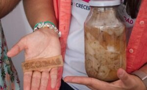 UAQ desarrolla biomaterial a partir de residuos de queso