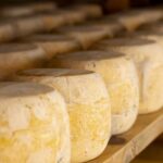 Acuerdo Mercosur-UE reaviva la disputa global por el mercado del queso